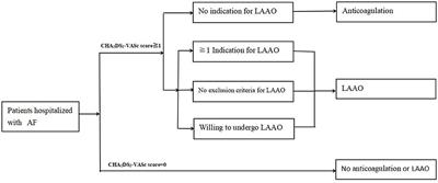 Post-angiography Retention of the Contrast Agent in the Left Atrial Appendage Is Associated With Risk of Cardioembolic Stroke in Patients With Atrial Fibrillation: A Retrospective Study